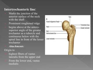 Intertrochanteric Line