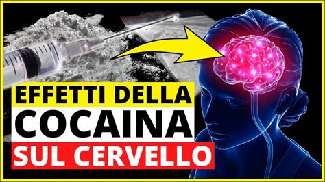 Effetti Della Cocaina Sul Cervello Effetti Delle Droghe Sul Sistema