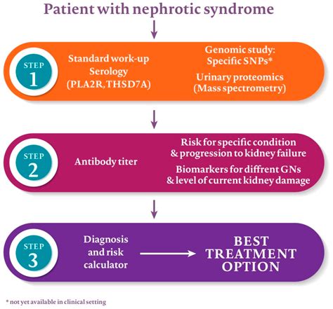 Jcm Free Full Text Membranous Nephropathy From Research Bench To Personalized Care