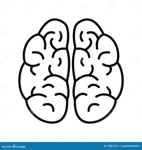 Icono Del Cerebro Estilo Del Esquema Stock De Ilustraci N 456 The