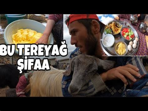 YAYLADA İLK TEREYAĞ YAYIK SABAH KAHVALTISI KEÇİ SAĞIM YouTube