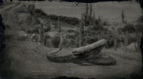 Black Tailed Rattlesnake Rdr2 Animals Map Location And Where To Find