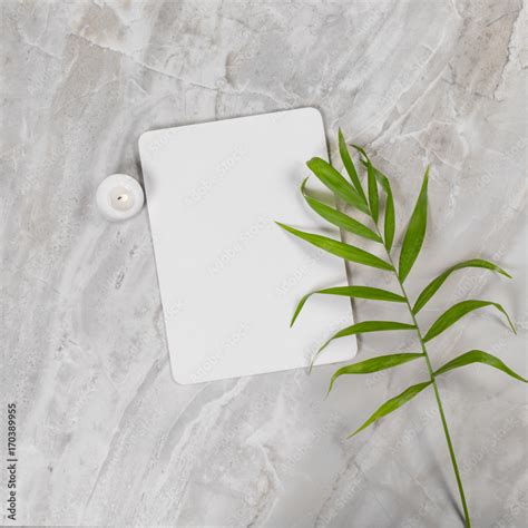 flat lay design  blank paper stock photo adobe stock