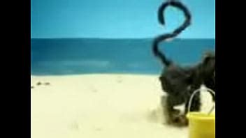 Mono Caliente Xvideos