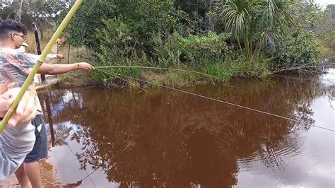 PESCARIA DE TILAPIA NO RIO SUBERBO EM MINAS GERAIS A FAMÍLIA TODA