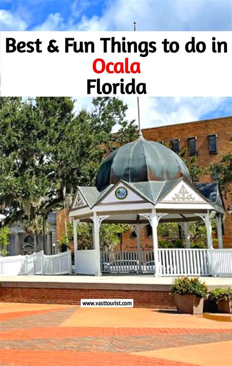 25 Best Fun Things To Do In Ocala Florida Artofit