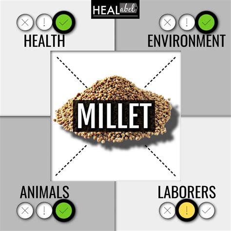 Millet Benefits, Side Effects: Low Fodmap? Gluten Free? Acidic?