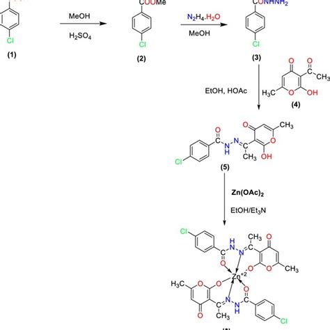 Synthesis Of Ligand 5 And Its Zn Complex 6 Download Scientific Diagram