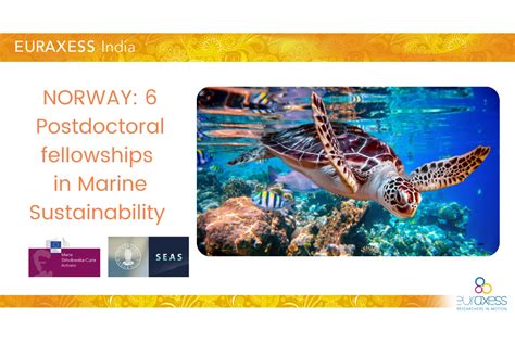 Norway 6 Msca Seas Postdoctoral Fellowships In Marine Sustainability