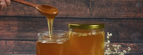 Le miel expliqué aux enfants - Cubes & Petits pois