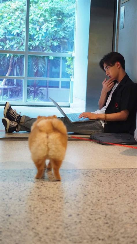 Pin By Imperr On Perth Tanapon Perth Thailand Cute Gay Couples