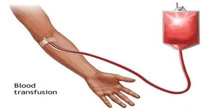 blood transfusion assignment point