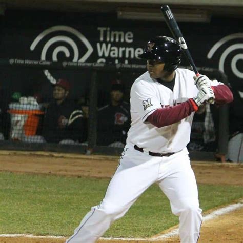 David Denson Is First Openly Gay Player On Major League Baseball Affiliated Team Towleroad Gay