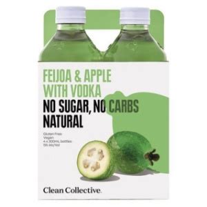 Big Barrel Online Liquor Store NZ Clean Col Feijoa Apple 4pk