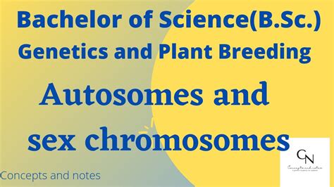 Autosomes And Sex Chromosomes Concepts And Notes For B Sc Students