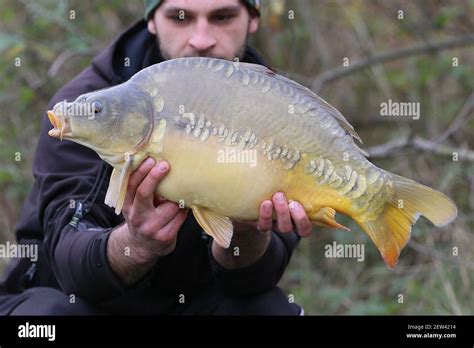 The Angler Has Caught A Nice Young Carp And Is Posing For Photos The