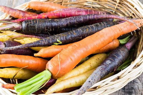 Of The Best Carrot Varieties To Grow At Home Gardener S Path