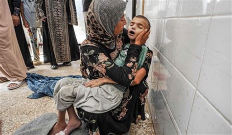 OMS Culpa A Israel Por Crisis De Salud En Cisjordania Noticias Prensa Latina