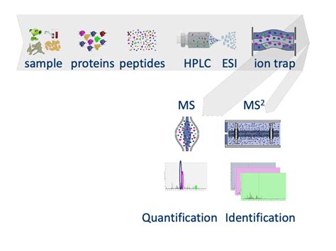 Statistical Methods For Quantitative Ms Based Proteomics Part I