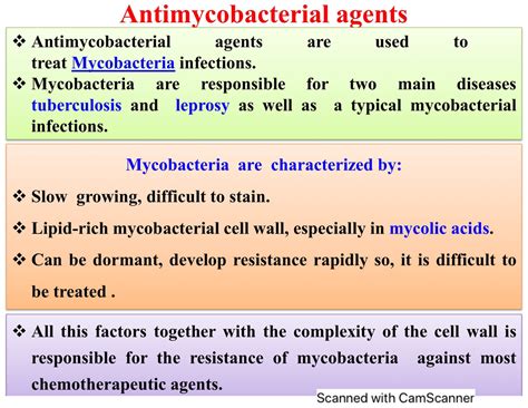 Antimycobacterial Agents Pharmaceutical Chemistry Studocu