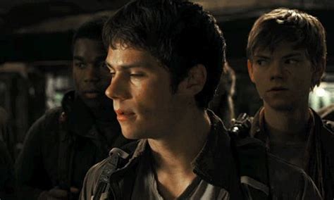 Imagines De Maze Runner Harry Potter N Rnia Awae E Outras S Ries Film