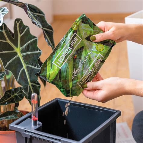 LECHUZA-PON Plant Substrate