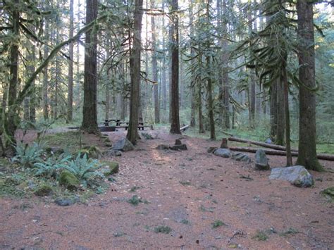 Camp Creek Campground Mount Hood Oregon