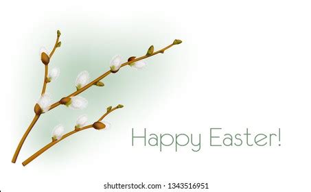 Realistic Pussy Willow Branch Easter Greetings Stock Vector Royalty Free 1343516951 Shutterstock