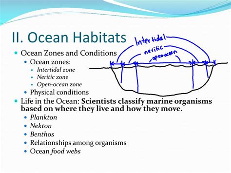 Ppt Chapter 4 Ocean Zones” Powerpoint Presentation Free Download