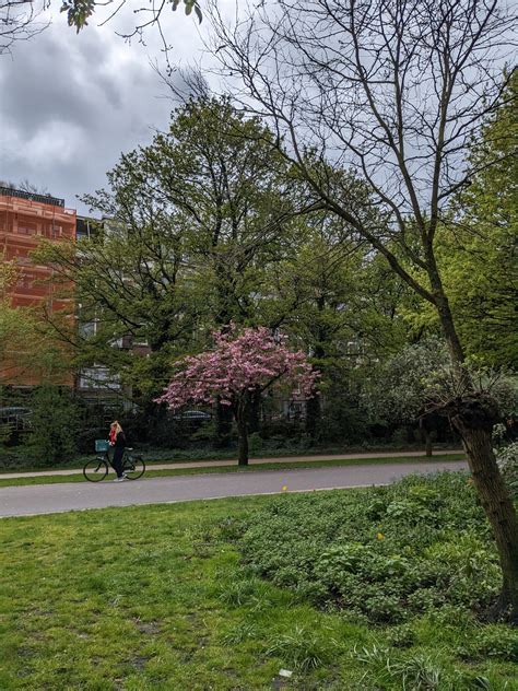 Visit Amsterdam In April - LouisaMayTravel