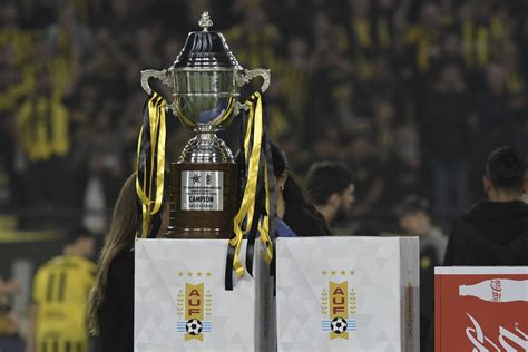 Cuánto dinero reciben los campeones de las ligas locales de Sudamérica