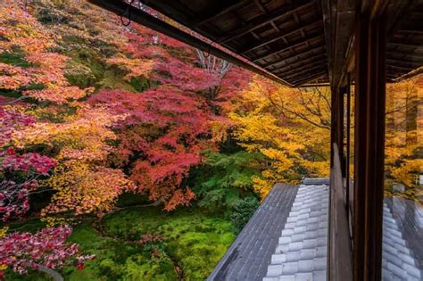 Osaka Kyoto Sanzenin Arashiyama Train Bamboo Forest Tour Getyourguide