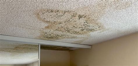 Roof Leak Repair Tr Construction San Diego Ca