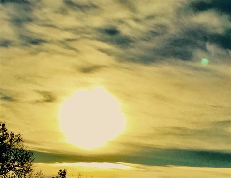 Maximizing Sunlight in Your Vegetable Garden - Gardening Guidance