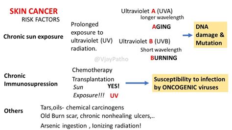 Pathology Of Squamous Cell Carcinoma Pathology Made Simple