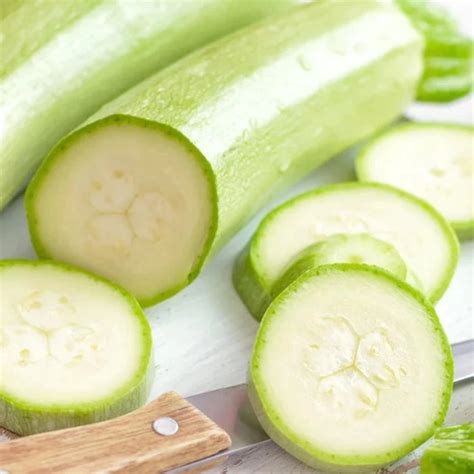 Tender Grey Zucchini Heirloom Seeds — Seed Nerds