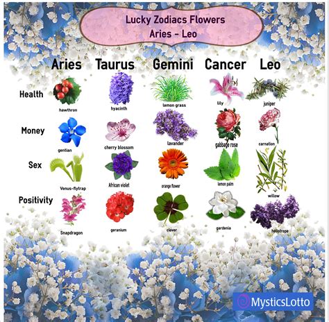 May 30th Zodiac: Will Your Destiny Change This Month? Find Out NOW! Image 20