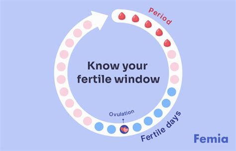 What Are The Odds Understanding The Chances Of Pregnancy After Unprotected Sex One Time Femia