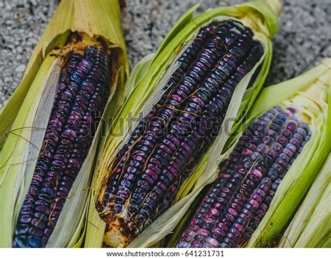 Hopi Blue Corn Photos And Images Shutterstock