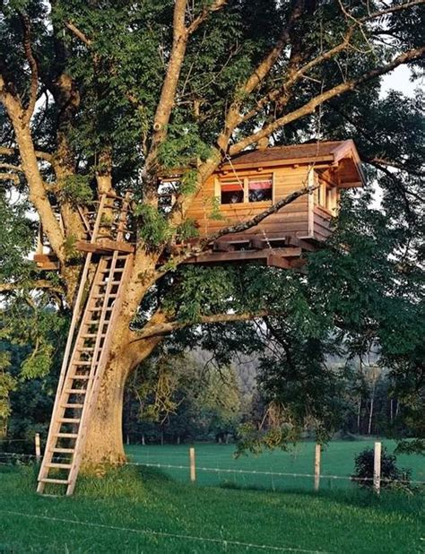 Tree House Ladder Plans House Decor Concept Ideas