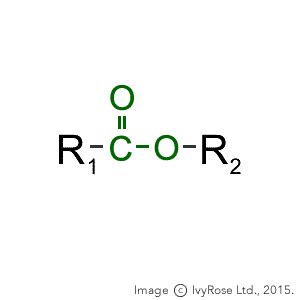 Naming Esters : Names of Ester Compounds : Organic Chemistry