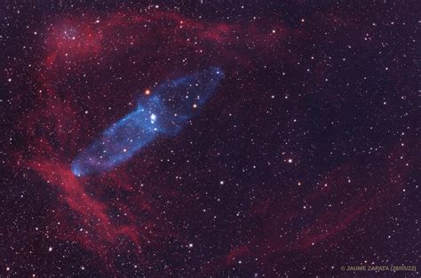 The Flying Bat Sh2 129 And Giant Squid Ou4 Nebulae Jaume Zapata