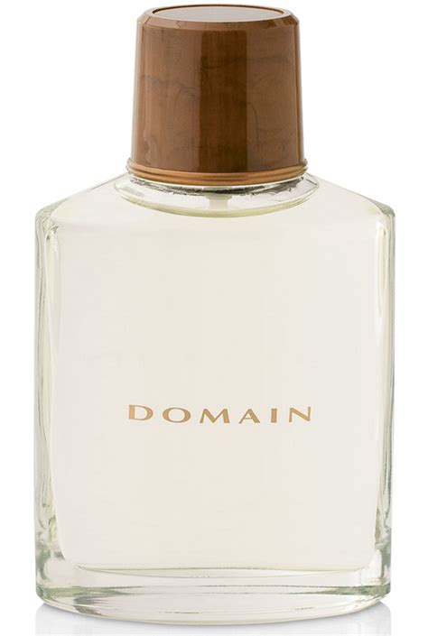 Domain Mary Kay cologne - a fragrance for men 2000