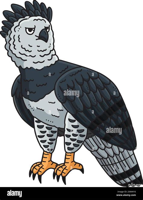 Harpy Eagle Bird Cartoon Colored Clipart Stock Vector Image And Art Alamy