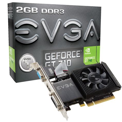 EVGA Announces its GeForce GT 710 Lineup | techPowerUp