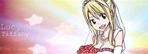 Lucy Heartfilia Cover Photo Request By Maviswendy On Deviantart