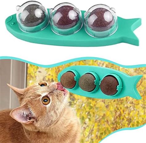 Lineveo Catnip Ball Juguetes Con Hierba Gatera Juguete Para Gatos