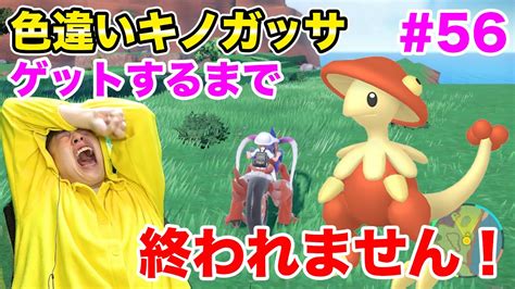 色違いキノガッサゲットするまで終われません！をしたら地獄を見た56【ポケモンsv】 Youtube