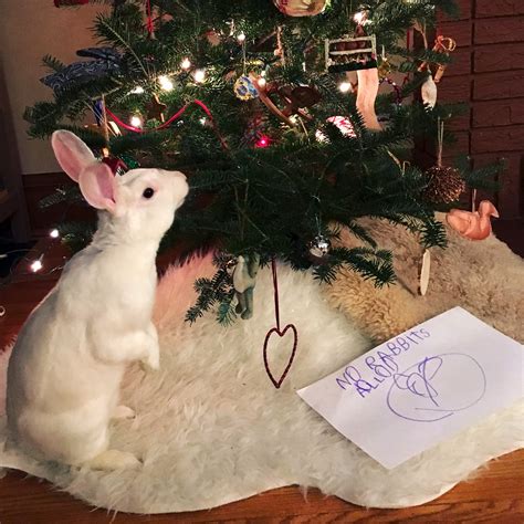 Index of /images/5/54/