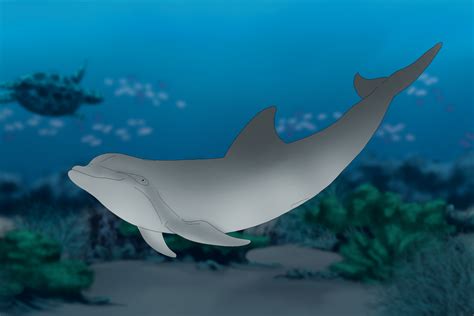 Bottlenose Dolphin 003 by PortysPrideRescue on DeviantArt